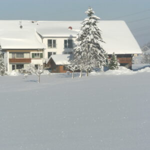 Winterfoto 2012 015